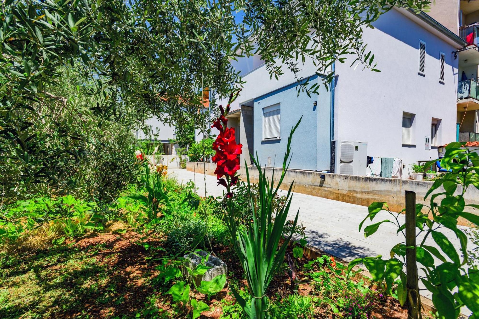 Tena Jadera Zadar